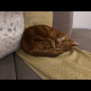 Meet your Posher, Lesley